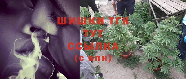 ГАЛЛЮЦИНОГЕННЫЕ ГРИБЫ Балабаново