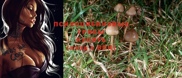 apvp Баксан